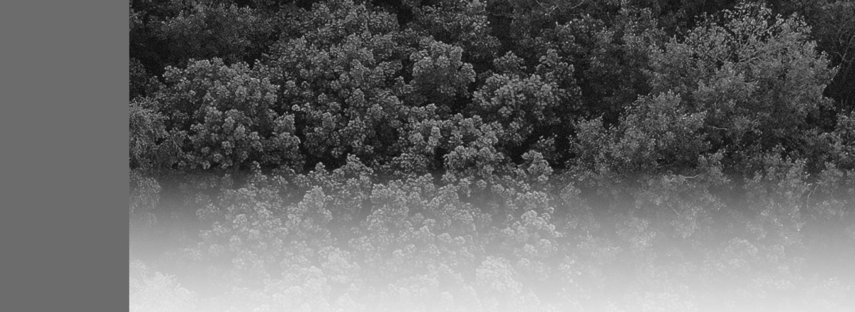 Admission cards for Smart Forest Innovation Challenge ’22